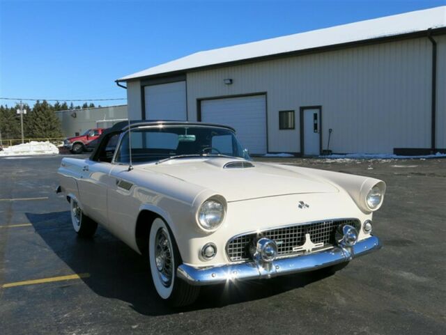 Ford Thunderbird 1955 image number 14