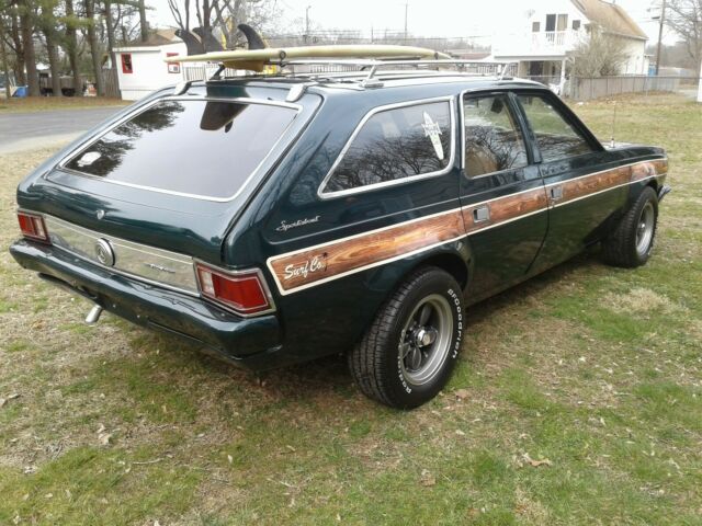 AMC Hornet 1973 image number 20