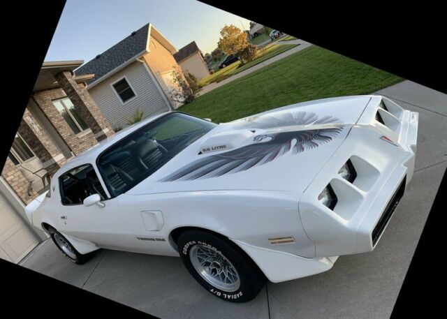 Pontiac Trans Am 1979 image number 16