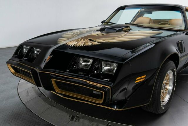 Pontiac Firebird 1979 image number 10