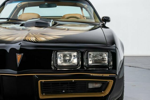 Pontiac Firebird 1979 image number 15