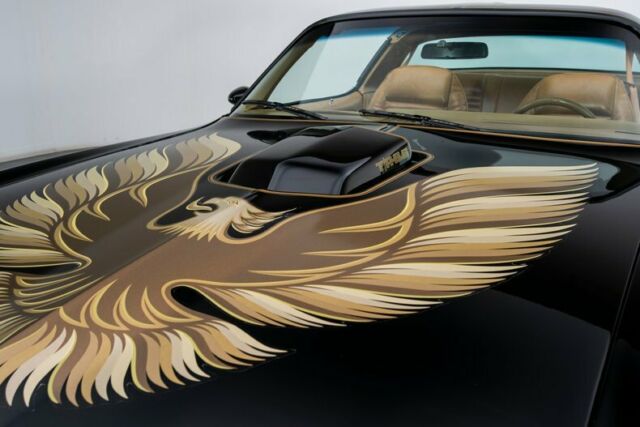 Pontiac Firebird 1979 image number 16