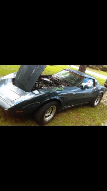 Chevrolet Corvette 1979 image number 0