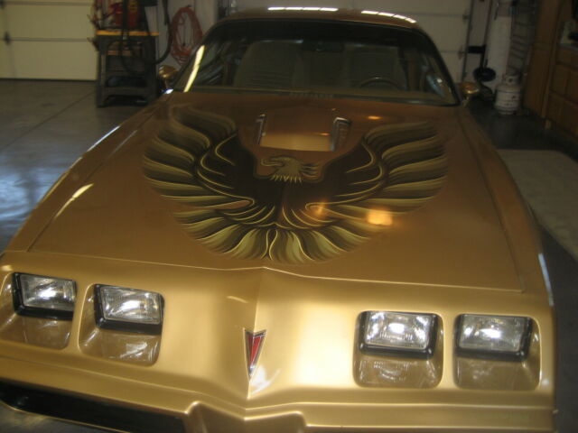 Pontiac Firebird 1979 image number 14