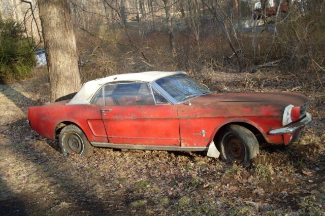 Ford Mustang 1964 image number 15