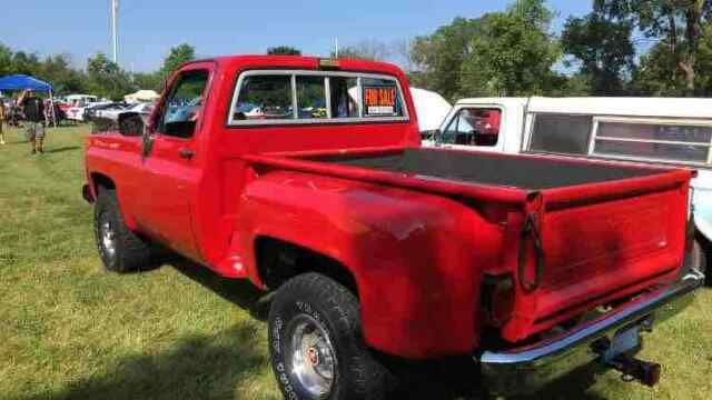 Chevrolet Pickup 1978 image number 1