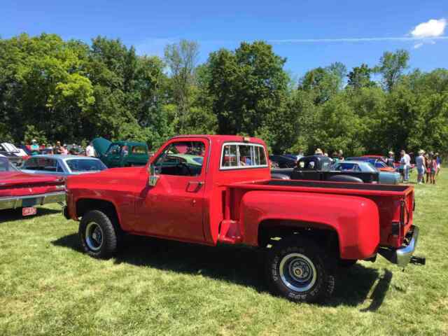 Chevrolet Pickup 1978 image number 10