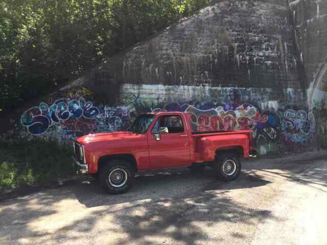 Chevrolet Pickup 1978 image number 19