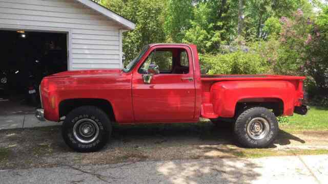 Chevrolet Pickup 1978 image number 20