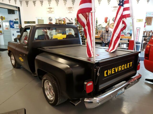 Chevrolet C-10 1979 image number 30