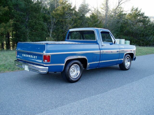 Chevrolet C-10 1979 image number 1