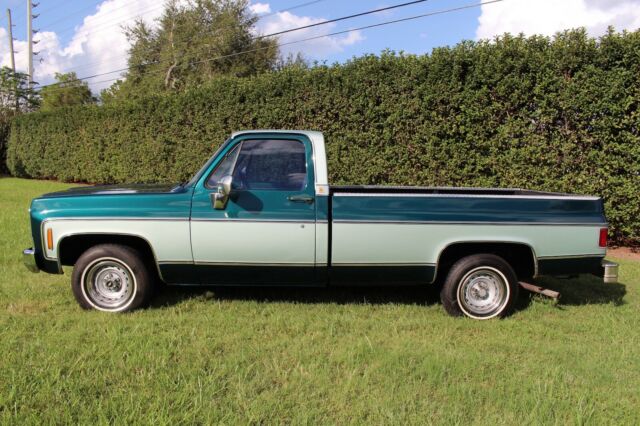 Chevrolet C-10 1979 image number 25