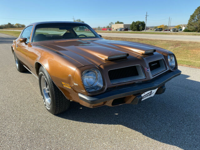 Pontiac Firebird 1974 image number 1