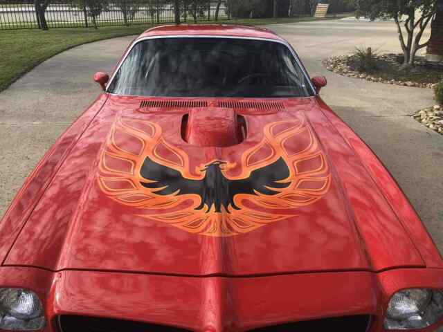 Pontiac Trans Am 1973 image number 6