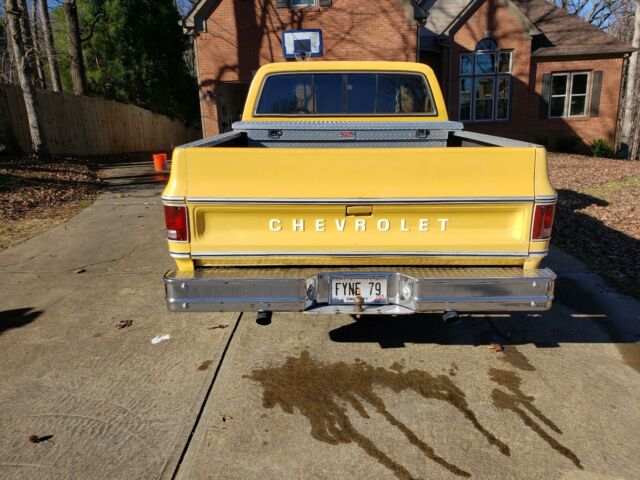 Chevrolet C-10 1979 image number 20