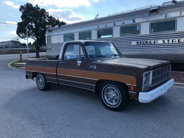 Chevrolet C-10 1979 image number 22