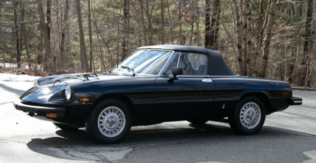 Alfa Romeo Spider 1976 image number 10