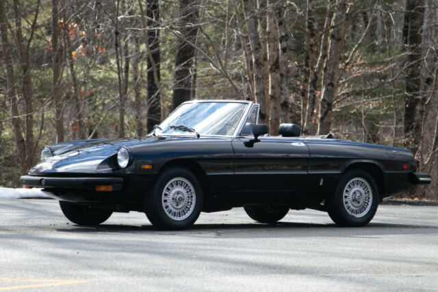 Alfa Romeo Spider 1976 image number 25