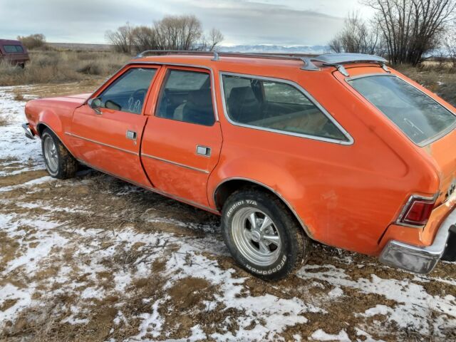 AMC Hornet 1977 image number 18