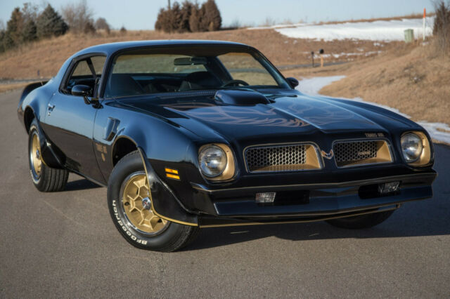 Pontiac Trans Am 1976 image number 2