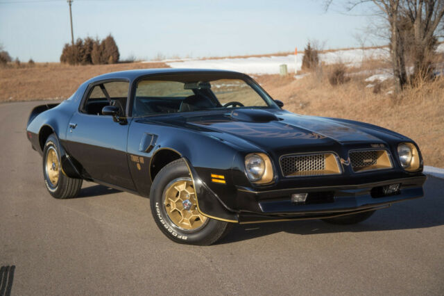 Pontiac Trans Am 1976 image number 27