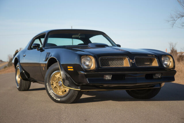 Pontiac Trans Am 1976 image number 28