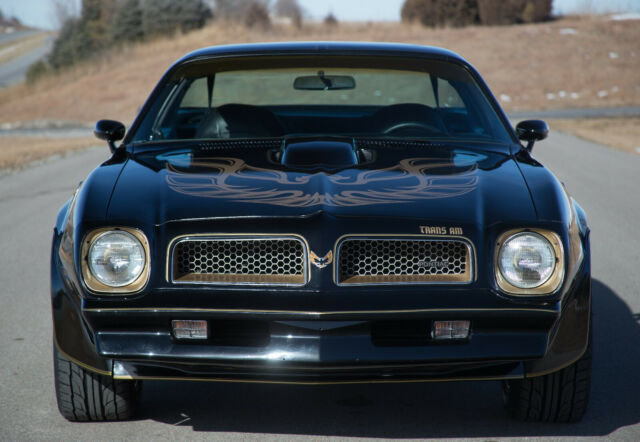 Pontiac Trans Am 1976 image number 29