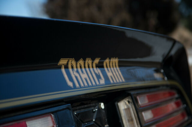 Pontiac Trans Am 1976 image number 31