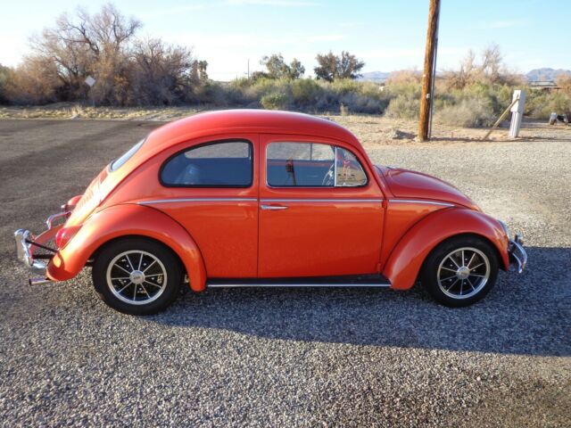 Volkswagen Beetle - Classic 1963 image number 2