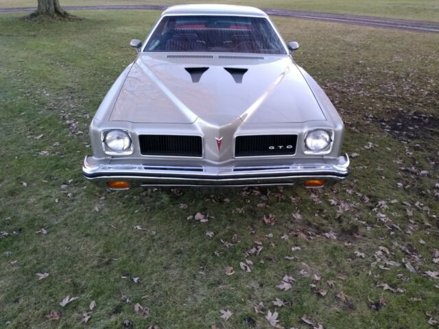 Pontiac GTO 1973 image number 12