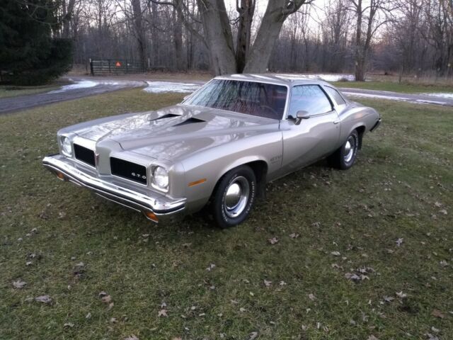 Pontiac GTO 1973 image number 16