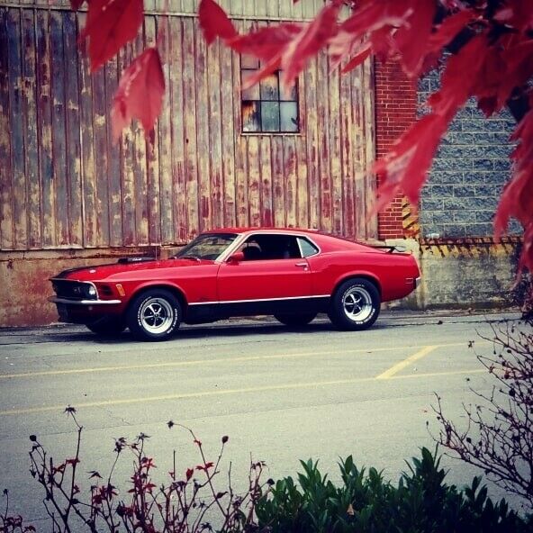 Ford Mustang 1970 image number 3