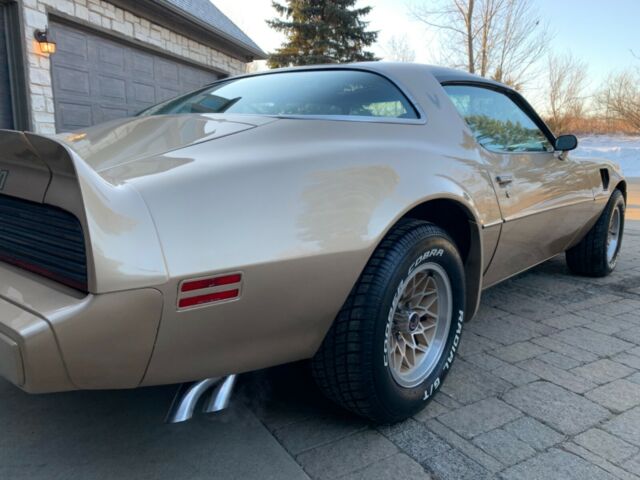 Pontiac Trans Am 1979 image number 11