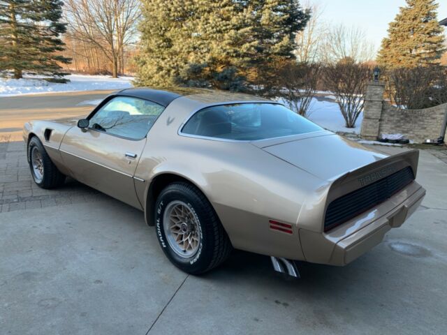 Pontiac Trans Am 1979 image number 2