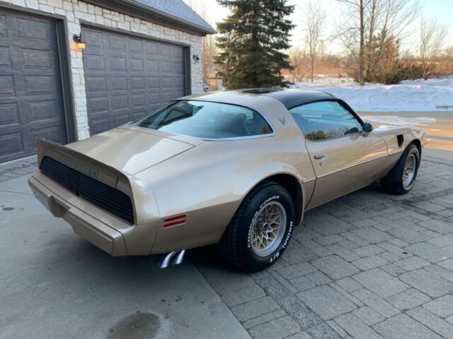 Pontiac Trans Am 1979 image number 28