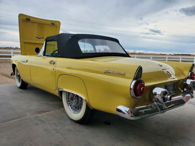 Ford Thunderbird 1955 image number 1