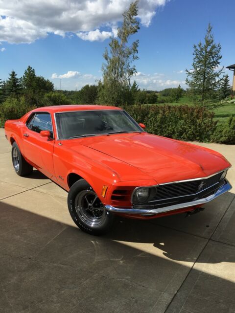 Ford Mustang 1970 image number 0