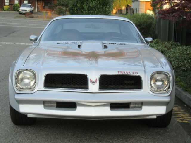 Pontiac Trans Am 1976 image number 2