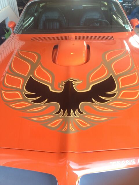 Pontiac Firebird 1976 image number 0