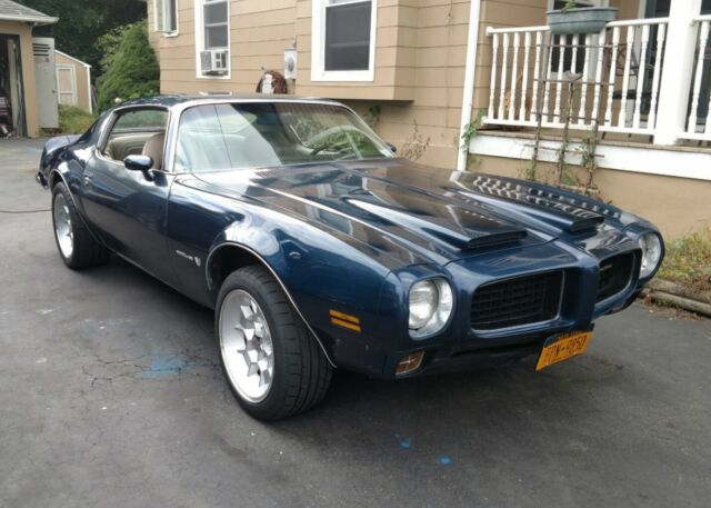 Pontiac Firebird Formula 1973 image number 9