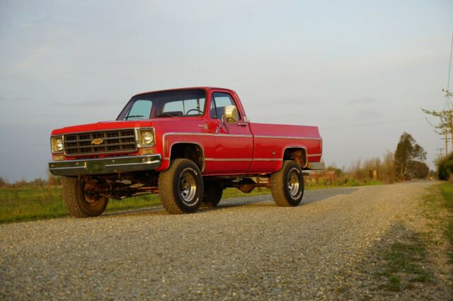 Chevrolet C/K Pickup 1500 1977 image number 0