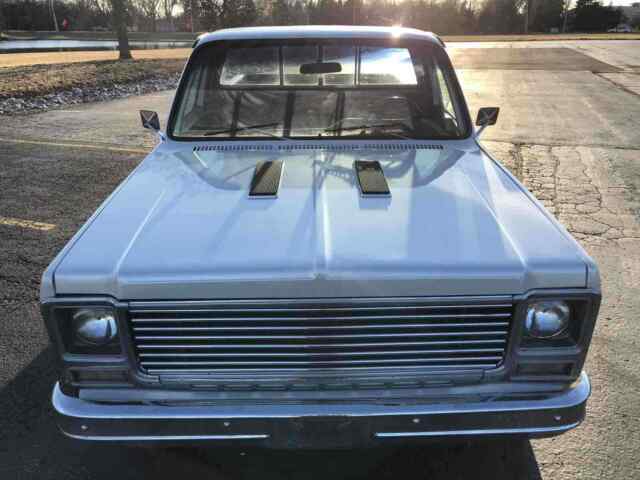 Chevrolet C10/K10 1979 image number 2