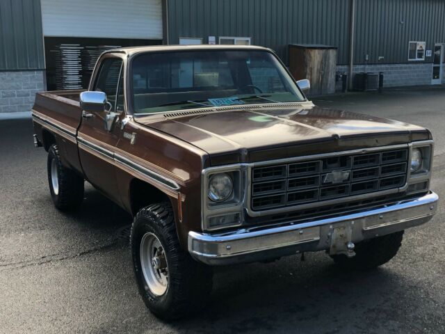 Chevrolet C/K Pickup 2500 1979 image number 21