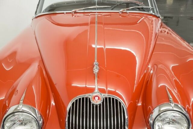 Jaguar XK 1959 image number 14