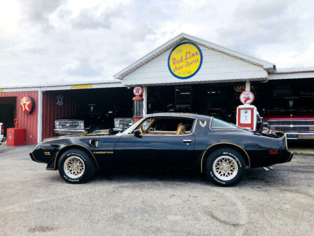 Pontiac Trans Am 1979 image number 1