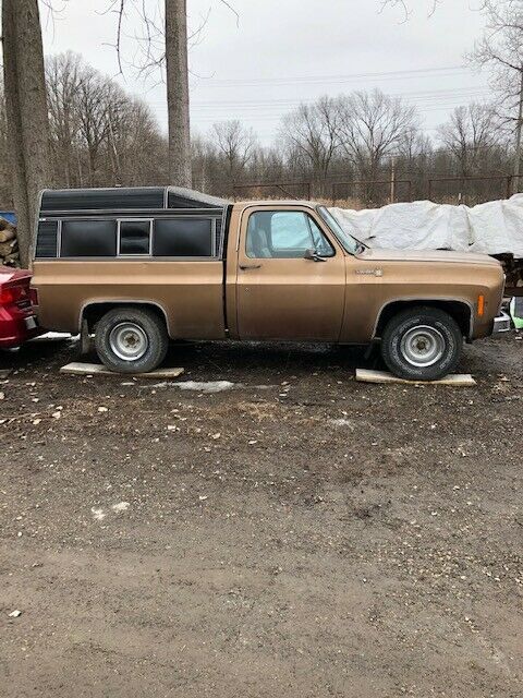 Chevrolet C/K Pickup 1500 1979 image number 0