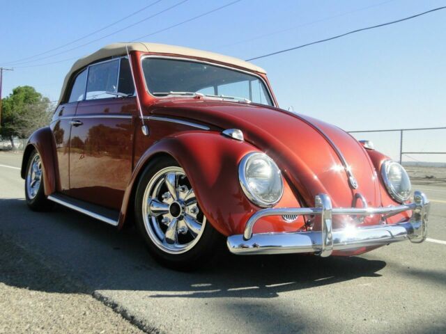 Volkswagen Beetle - Classic 1961 image number 0