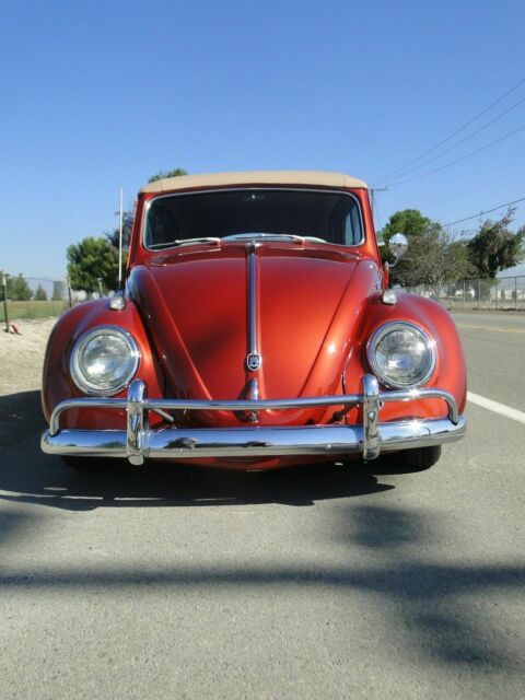 Volkswagen Beetle - Classic 1961 image number 8