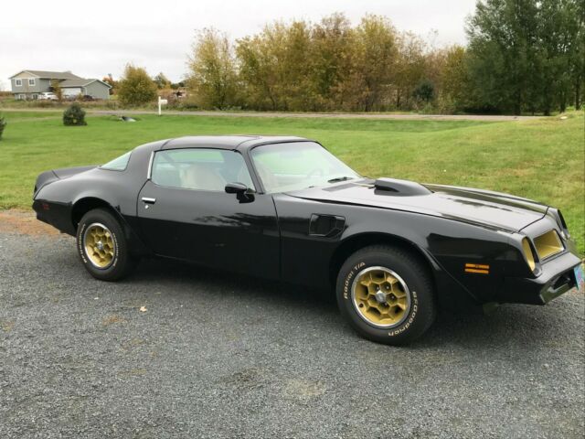 Pontiac Trans Am 1976 image number 0