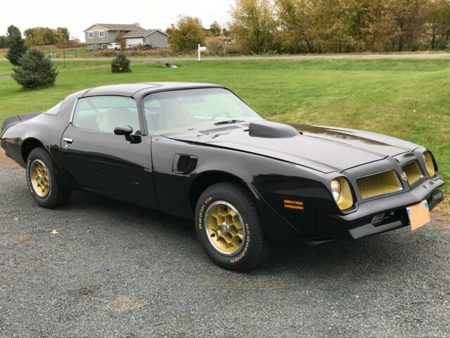 Pontiac Trans Am 1976 image number 1